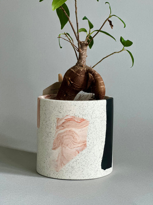 Unique Handcrafted Medium Pot in Chunky Terrazzo